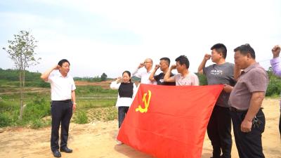 视频︱彭思镇党委：党建强 产业兴