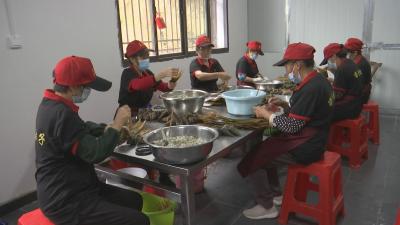 视频︱株林镇：小小茴香粽富民大产业