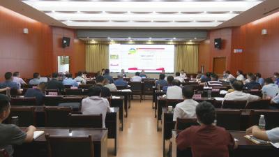 视频︱陈丹主持召开2022年第二次规划评审会