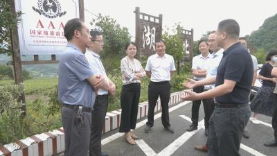 视频︱陈丹强调：全力建设宜居宜业宜乐宜游美丽乡村 绘就美丽乡村“新画卷”