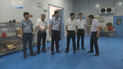 视频︱桂勇军到企业纾困解难