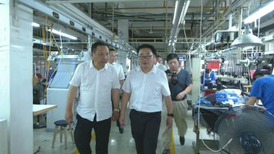视频︱胡安元到漕河 青石等地宣讲省第十二次党代会精神 调研乡村振兴工作