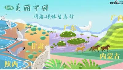 宣传片丨行走美丽中国 见证十年巨变