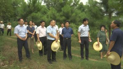 视频︱“政协委员助力乡村振兴行动”走进管窑镇楼岗村