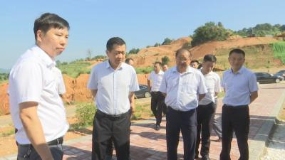 视频︱桂勇军到部分乡镇巡林巡河