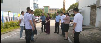 视频︱陈丹强调：摸实情 出实招 办实事 切实精准有效助企纾困