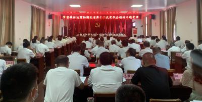 管窑镇举行庆祝中国共产党成立101周年活动