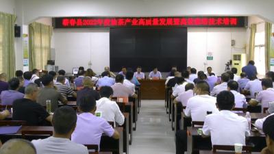 视频︱林业专家培训油茶高效栽培技术