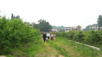视频︱刘河镇党委：激活“党建+”引擎 跑出乡村振兴“加速度”