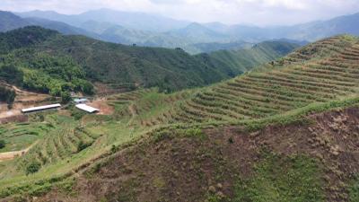 视频︱王玉华：扎根基层 服务百姓