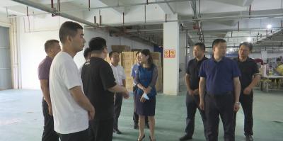 视频︱陈丹强调：加快完善农产品电商供应链产业链 推动农民增收农业增效农村发展