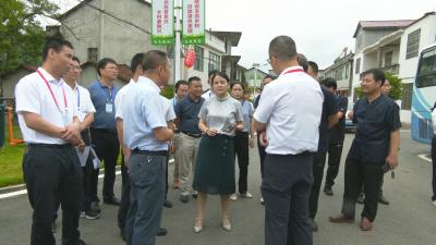 视频︱  陈丹强调：带着感情下基层进企业 以实际行动助力乡村振兴助推经济发展