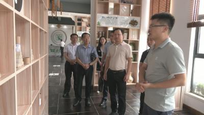 视频︱广西贵港市来蕲考察蕲艾产业