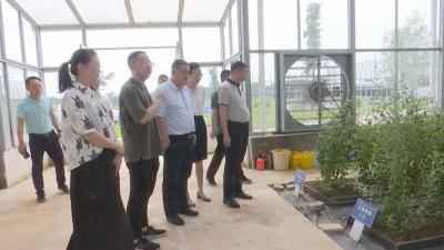 视频︱国资委社会责任局调研蕲艾大健康产业和港口码头航运工作
