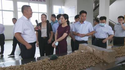 视频︱陈丹率队赴河南南阳考察学习中医药产业发展