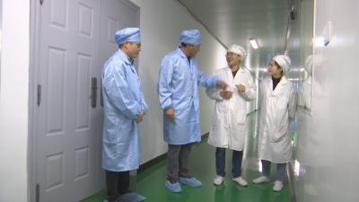 视频︱孙利伟：让李时珍医药集团成为中医药产业航母