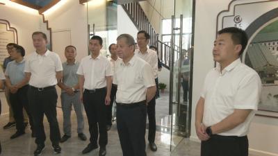 视频︱招商局集团党委副书记王宏来蕲春调研定点帮扶工作