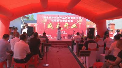 视频︱株林镇达城特色粉面基地投产