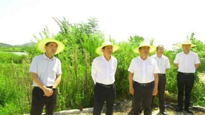 视频︱市人大常委会来我县开展《中华人民共和国长江保护法》执法检查