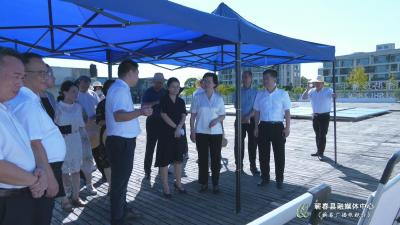 视频︱李述永来蕲春调研文化和旅游工作