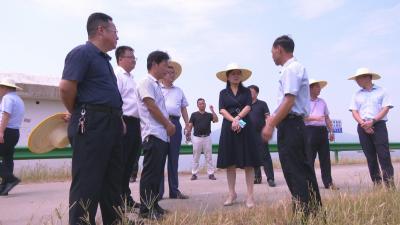 视频︱陈丹到蕲州镇调研抗旱和美丽乡村示范片建设 开展巡江工作