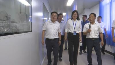 视频︱全市外事工作现场推进会观摩团来蕲参访