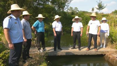 视频︱杨振武到大同渠系沿线指导抗旱工作