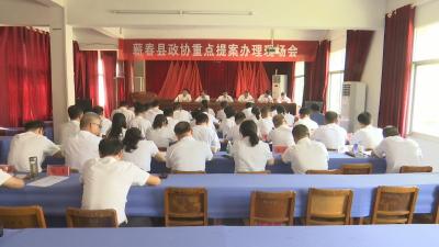 视频︱县政协高效推进2022年重点提案办理