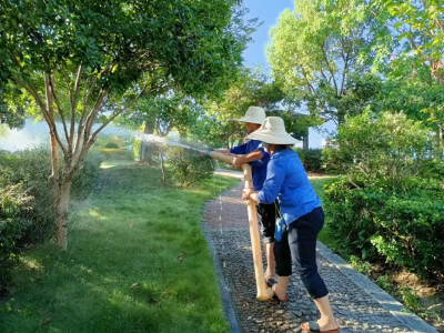 骄阳下  城管巾帼现风采