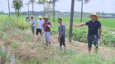 视频︱株林镇：为农田“解渴” 为群众解忧