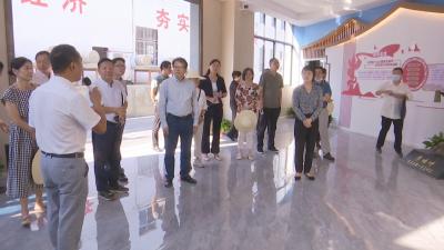 视频︱民进中央科技医卫委员会与民进湖北省委会来蕲调研