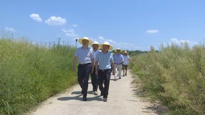 视频︱何朝阳到赤东镇指导抗旱工作