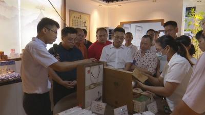 视频︱通城县来我县考察蕲艾产业发展