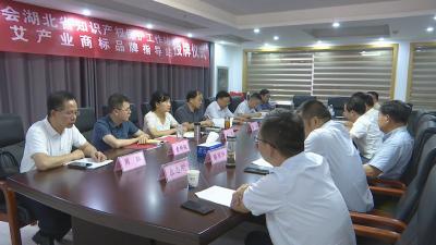 视频︱全市首个省级知识产权保护工作站落户蕲春