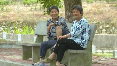 视频︱县民政局：多措并举 确保取得实效