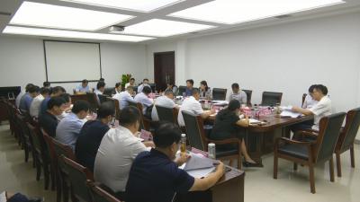 视频︱陈丹：围绕延链补链强链 做大做强做优蕲艾产业