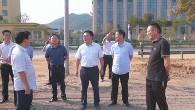 视频︱胡安元调研重点项目建设