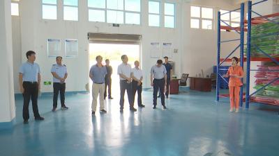 视频︱省应急管理厅来蕲调研全国综合减灾示范县创建工作