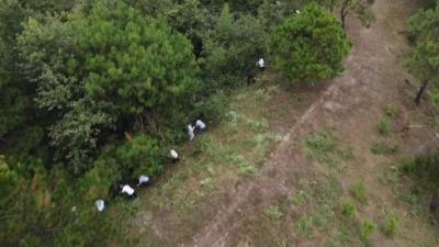 县林业局：清除山林杂草 筑牢安全防线