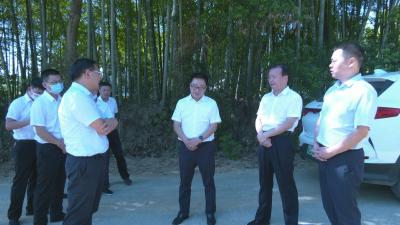 视频︱胡安元调研党建引领社区（小区）治理 软弱涣散村整顿和共同缔造工作 