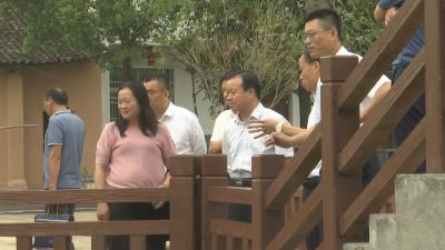 视频︱陈青到株林镇达城村调研
