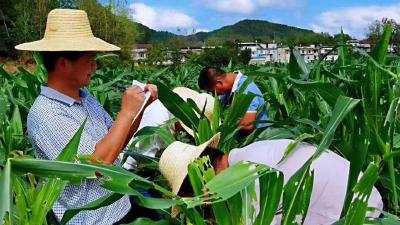 视频︱邹春华：我是农民的儿子 应发扬不怕苦不怕累的精神