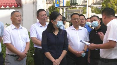 视频︱陈丹：发动群众共建共享 不断提升城市品质
