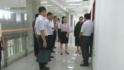 视频︱陈丹调研蕲艾产业技术研究院筹建工作