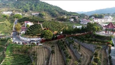 视频︱李山生态旅游区拟定为国家4A级旅游景区