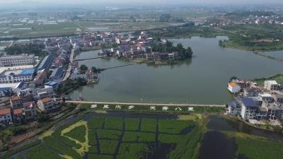 视频︱八里湖办事处：聚焦急难愁盼 共建幸福生活