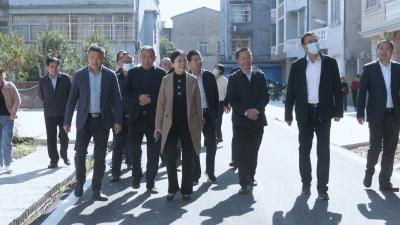视频︱陈丹：加快提升城市品质 共建共享美丽家园