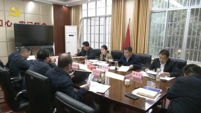 视频︱陈丹主持召开政府投资项目研讨会