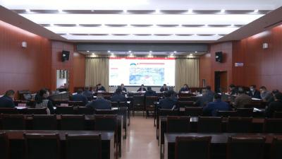 视频︱陈丹主持召开2022年第四次规划评审会