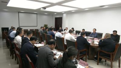 视频︱陈丹主持召开重点项目推进会